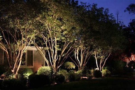 Look This Outdoor Lighting Ideas For Trees 8633118213