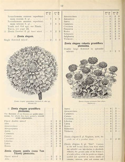 General Price List Of Vegetable Farm Tree Conifer Palm Flower And