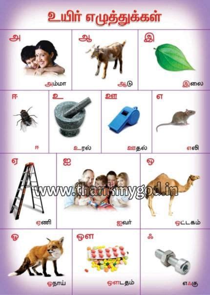 Alphabet Chart In Tamil By My God Alphabet Chartteaching Charts From Madurai Id 1316342