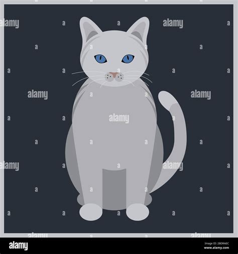 White Cat With Blue Eyes Vector Stock Vector Image And Art Alamy