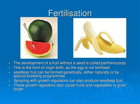 C40 Sexual Reproduction In Flowering Plants Ppt Download