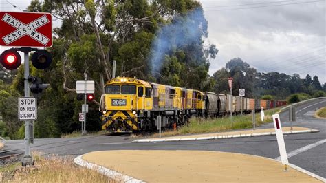 TasRail 2054 2051 53 Train Crossing Opossum Road YouTube