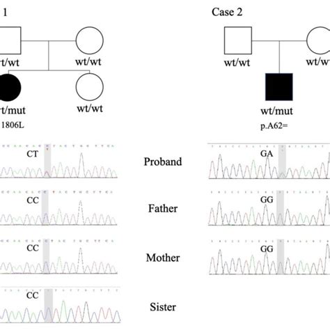 Whole Exome Sequencing Wes And Sanger Sequencing Revealed