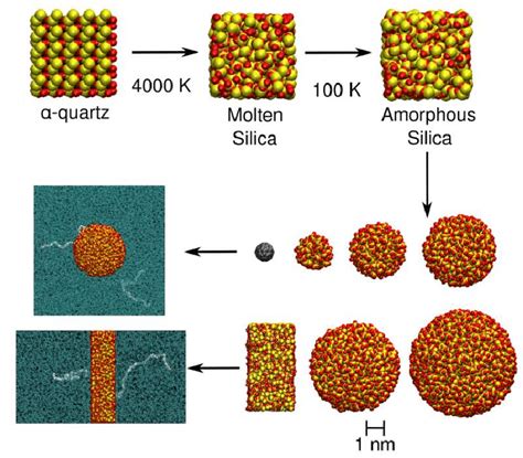 4 Schematics Illustrating The Construction Of Silica Nanoparticles And Download Scientific