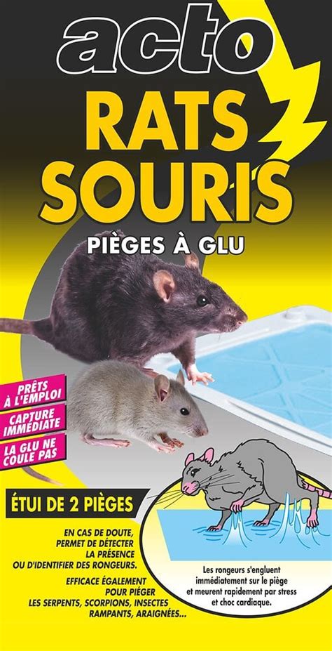 Pi Ges Glu Rats Souris Bricomarch