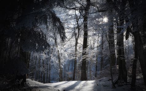 cosmic planetary alignment alert  upcoming conjuntion