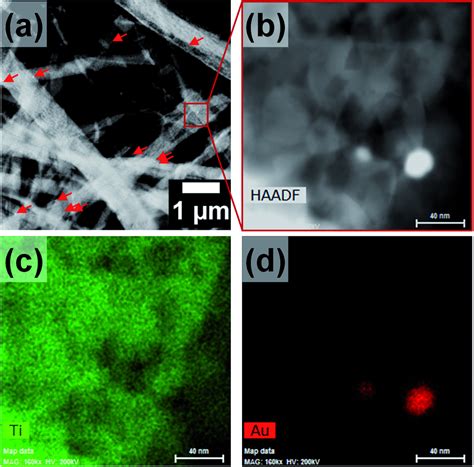 A And B Haadf Stem Micrographs Of Au Tio Nanofibers As Well As C