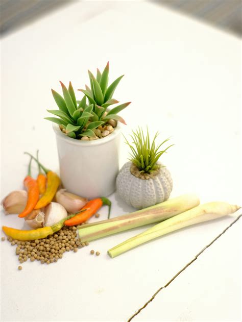 A white table topped with a potted plant and vegetables photo – Free