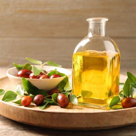 Jojoba L Wirkung Und Anwendung F R Haut Und Haare Haut Und Haar