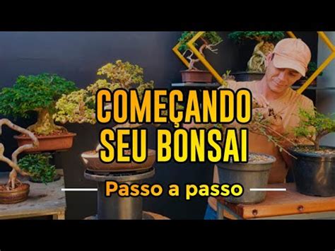 Guia De Bonsai Para Iniciantes Passo A Passo Simples Youtube