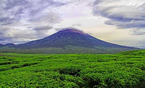 12 Tujuan Wisata Di Kerinci Terbaik Dan Populer Tokopedia Blog