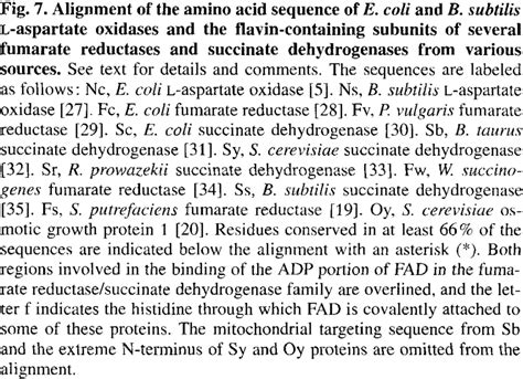 Alignment Of The Amino Acid Sequence Of E Coli And B Subtilis