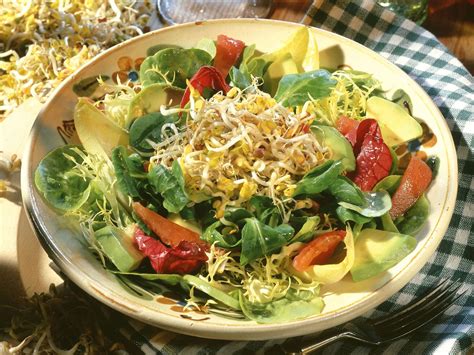 Bunter Blattsalat Mit Avocado Tomate Und Sprossen Rezept EAT SMARTER