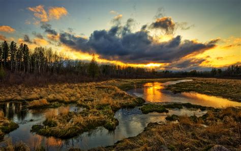 Marshland Sunset