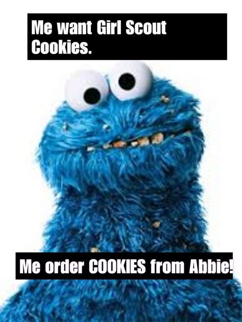 Pin By Beth Simmons On Girl Scout Cookie Memes In 2021 Girl Scout