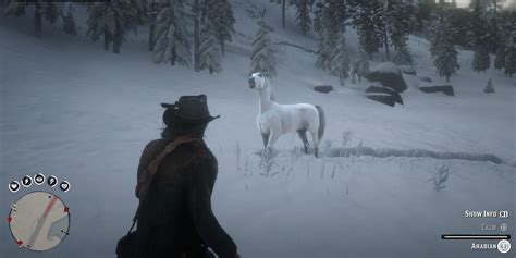 How To Find And Tame The White Arabian Horse In RDR 2