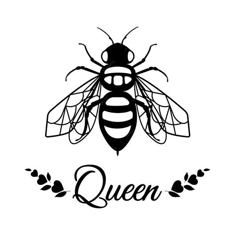 Queen Honey Bee Drawing