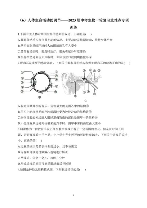 （6）人体生命活动的调节——2023届中考生物一轮复习重难点专项训练（含解析） 21世纪教育网