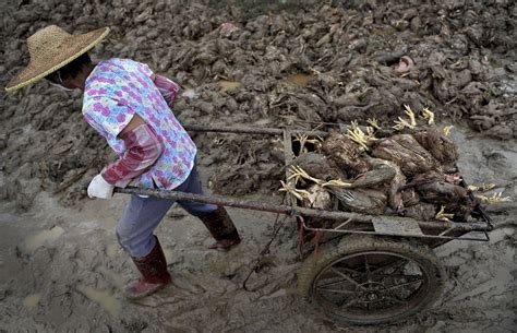 Typhoon wreaks havoc in China, causing deadly flooding and landslides ...