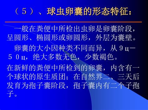 Ppt 寄生虫病学粪便检查（一 ） Powerpoint Presentation Free Download Id3523659