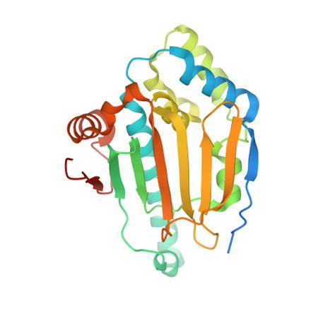 Rcsb Pdb Yef Hsp Inhibitors And Drugs From Fragment And Virtual