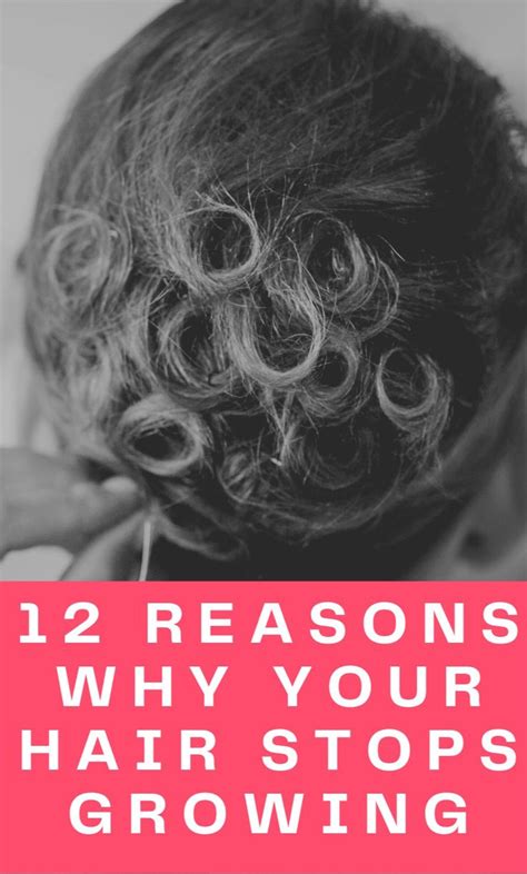 12 Reasons Why Your Hair Stops Growing In 2023 Hair Care Hair Care Routine Homemade Hair