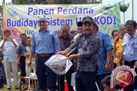 Dirjen Perikanan Budidaya Ujung Tombak Lumbung Ikan Nasional ANTARA