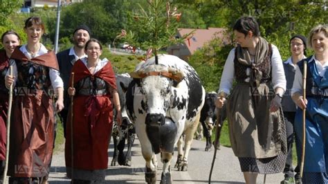 Sous Le Plus Haut Sommet Des Vosges Willer Sur Thur Visit Alsace