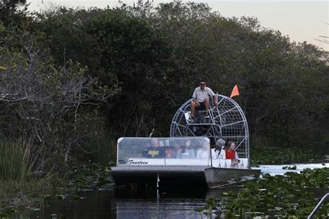 Everglades Nationalpark Tur I Sumpb D Og Show Med Vilde Dyr Getyourguide