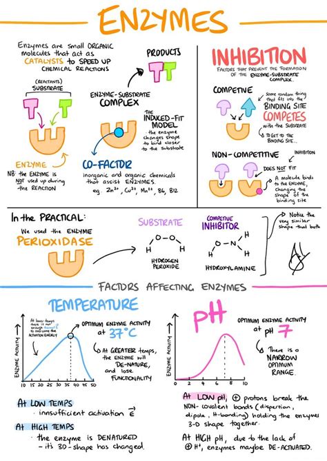 Pin By Yukisuki On Notes Inspiration Biochemistry Notes Biology