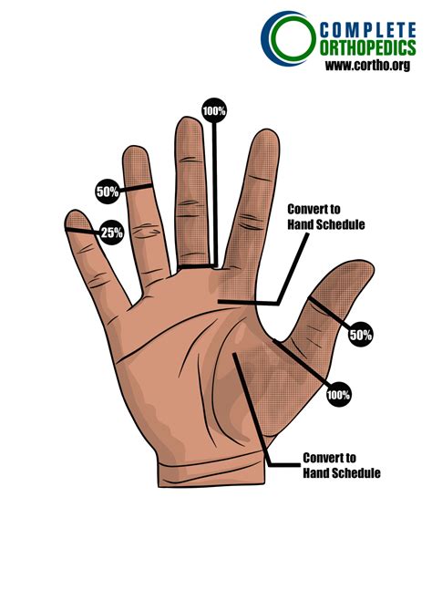 Scheduled Loss Of Use For Upper Extremities Complete Orthopedics