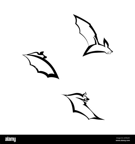 Vector Illustration Of Bats Set Three Black And White Bats In