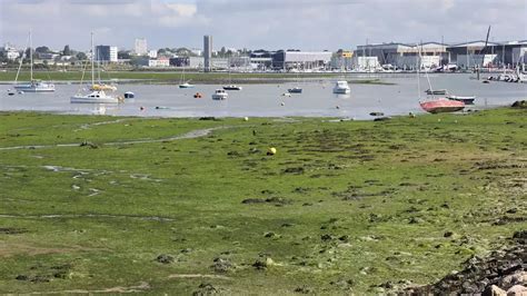 Vrai Ou Fake Les Mar Es D Algues Vertes En Bretagne Sont Elles Avant