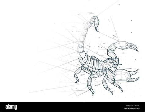 Abstract Scorpion Low Poly Wireframe Stock Vector Image And Art Alamy