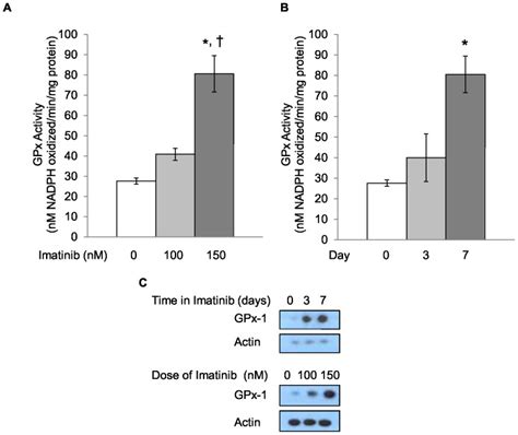 The Dose And Time Dependent Increases In Gpx Activity Following Nm