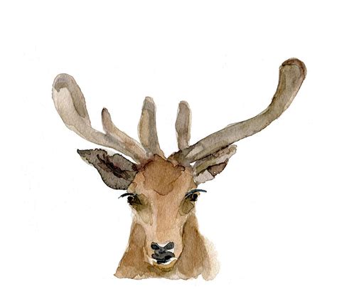 Deer Art Print of original Watercolor painting by TheJoyofColor