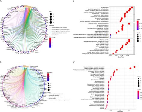 A And B Go Enrichment Function Of Differential Genes C And D Kegg