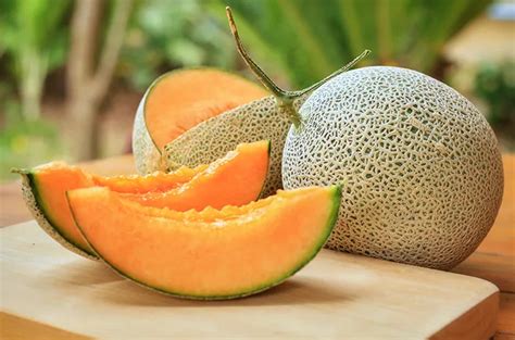 Kaya Nutrisi Ini 11 Manfaat Buah Melon Jika Rutin Dikonsumsi