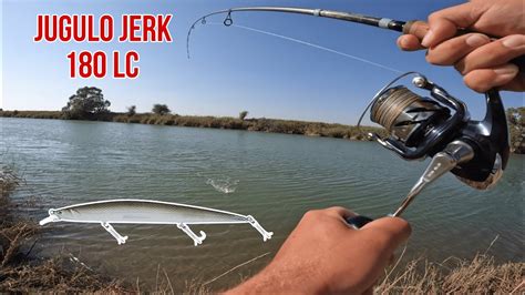 Spinning Inshore Small Leerfish On Molix Jugulo Jerk 180 LC YouTube