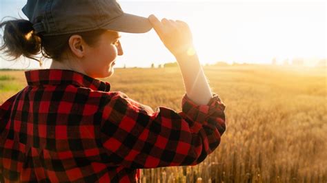 Relevo Generacional En El Campo Diagn Stico Y Soluciones Del Pe