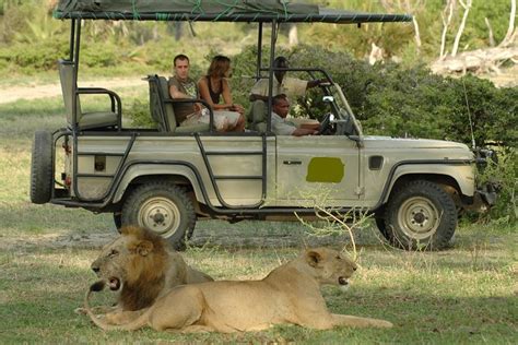 Tage Tansania Campingsafari Zum Manyara See Serengeti Und Ngorongoro