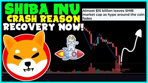 WHY SHIBA INU TOKEN CRASHED TODAY RECOVERY CONFIRMED MUST WATCH