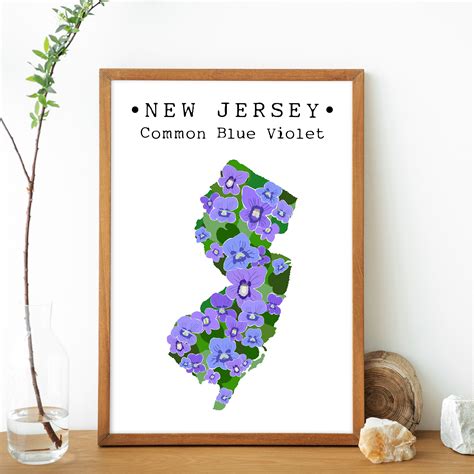 state flower of nj 4