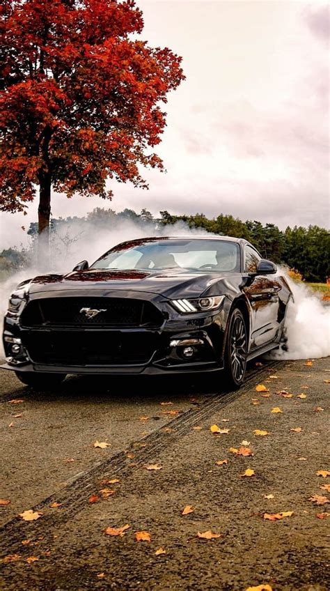 Luxury Sports Cars Best Luxury Cars Mustang Girl Ford Mustang Shelby