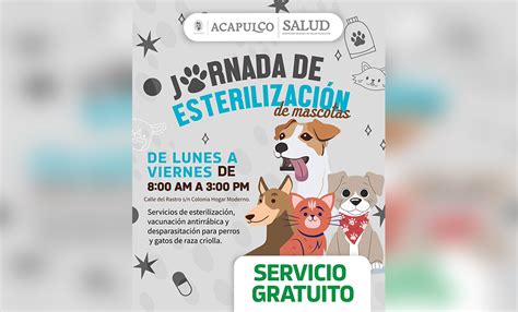 Continúa Gobierno de Acapulco campaña de esterilización