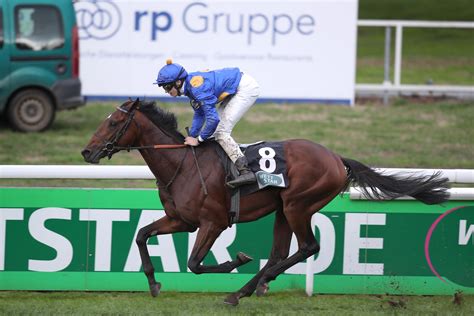 Niagaro Spielt Mit Den Gegnern Deutscher Galopp