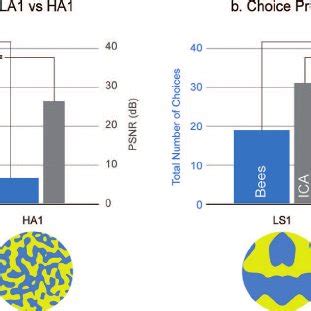 spatial frequency patterns manipulating  axis symmetry