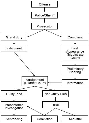 Criminal Case Flow Chart