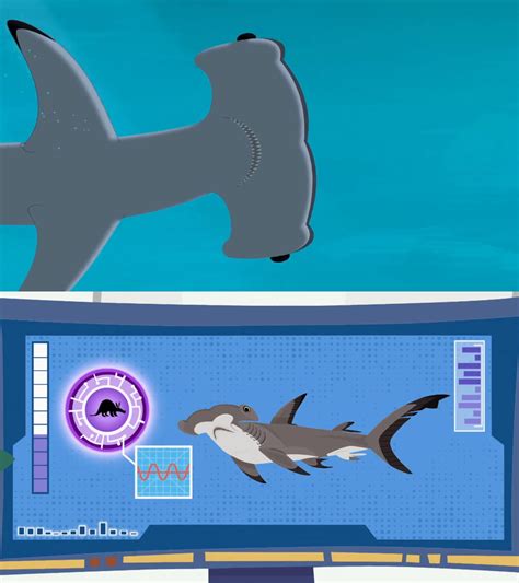 Wild Kratts Hammerhead Shark By Mdwyer5 On Deviantart