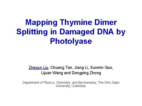 Mapping Thymine Dimer Splitting in Damaged DNA by